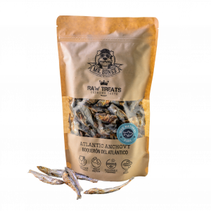 Atlantische Ansjovisjes