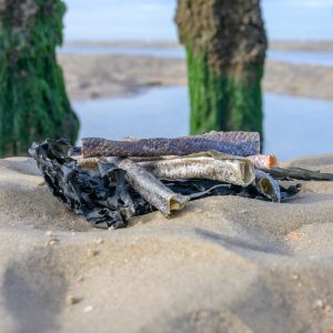 Zalmforel huidrolletjes