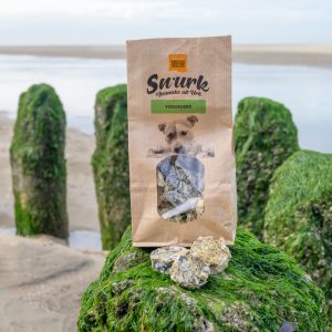 kabeljauwburger strand